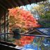 Outdoors view