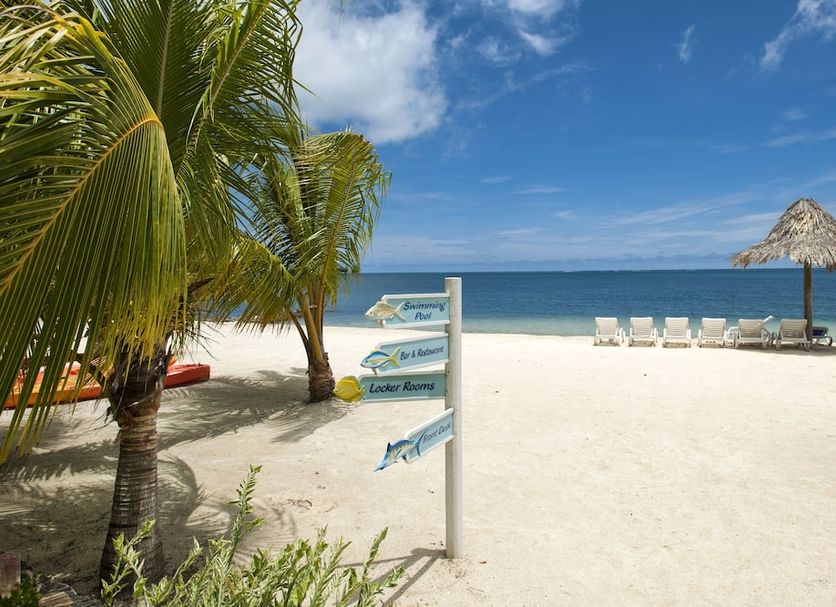 Beach Photo