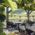 Hotel Halfenstube & Villa Spa 1894 terrace dining with mountain and vineyard views in Briedern