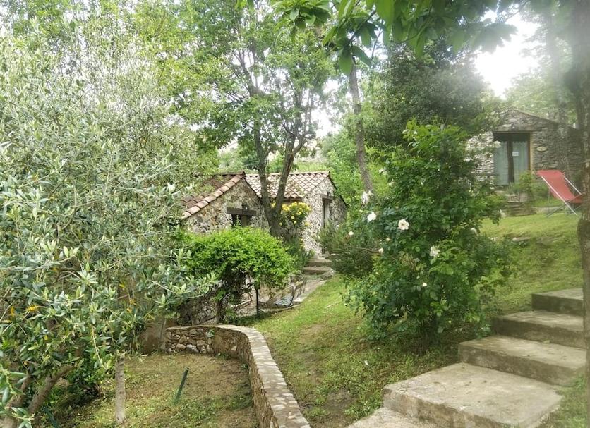 Other Photo