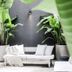 Krista Boutique Hotel in Buenos Aires courtyard with white lounge sofa, tropical plants and dark wall
