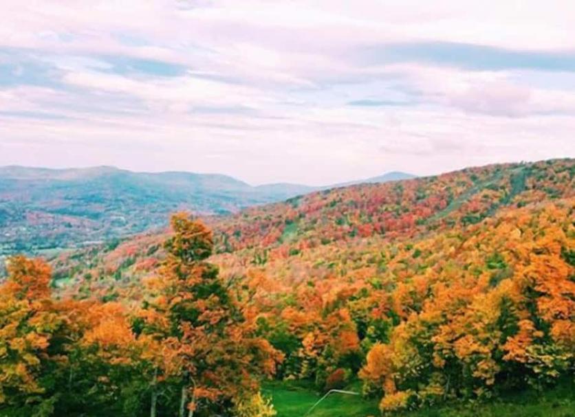 Outdoors view Photo