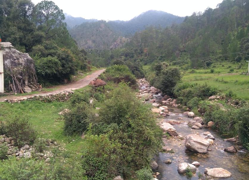 Outdoors view Photo