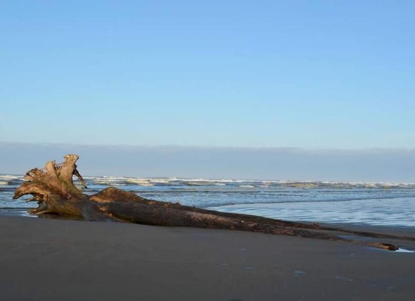 Other Photo