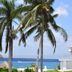 Villablanca Garden Beach Hotel in Cozumel with palm trees framing a clear ocean view