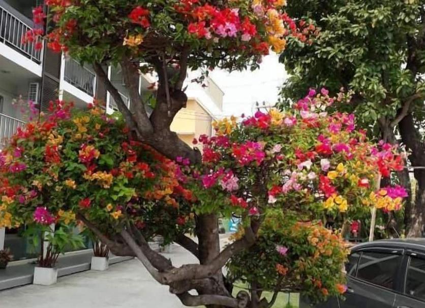Outdoors view Photo