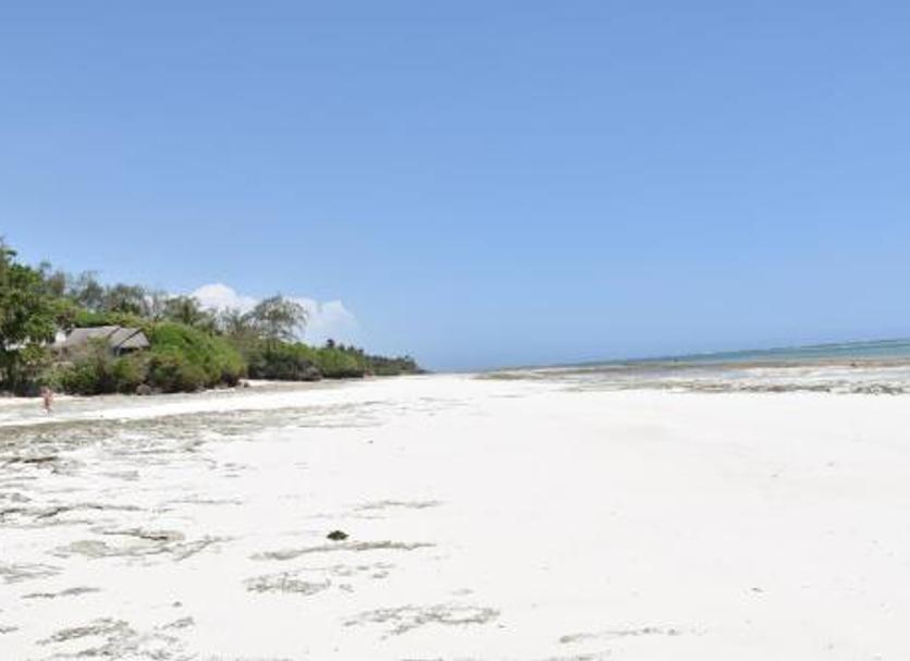 Beach Photo