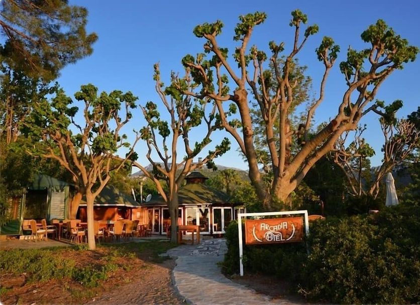 Arcadia Hotel in Cirali with a garden path, trees, and a small outdoor seating area