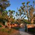 Arcadia Hotel in Cirali with a garden path, trees, and a small outdoor seating area