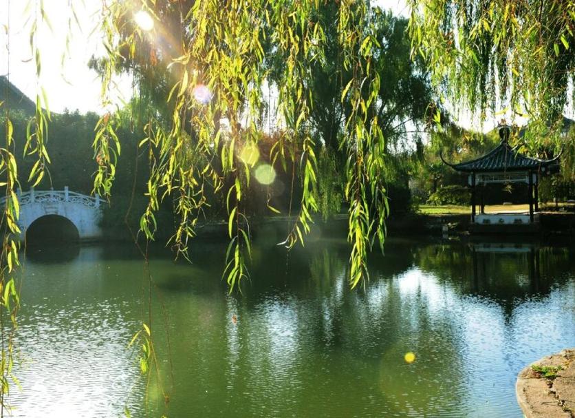 Outdoors view Photo