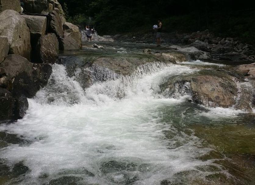 Other Photo