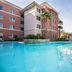 Homewood Suites by Hilton Henderson South Las Vegas pool with palm trees in Henderson