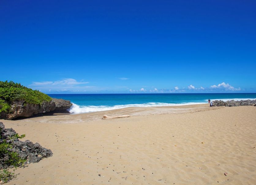Beach Photo