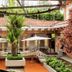 Visus Hotel Boutique & Spa courtyard with lounge seating, umbrellas, and a central palm in Fonda Central