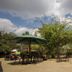 Balis Best Bar and Resort Nairobi outdoor patio with tables, chairs and umbrellas amid lush trees