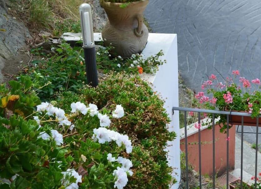 B&B La Casa Rossa in Paola with a flower-filled terrace, potted plants, and street view