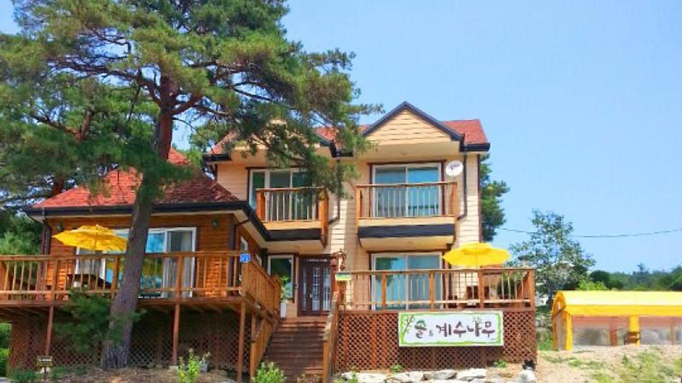 Gangneung Sol and Cassia Pension