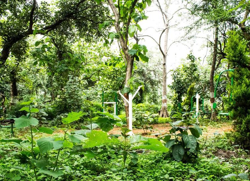 Outdoors view Photo