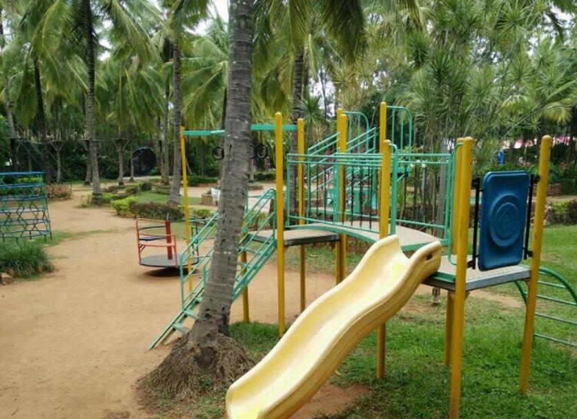 Other Photo