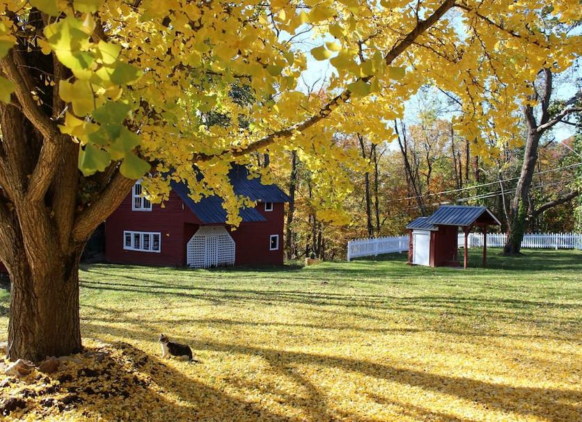Outdoors view Photo