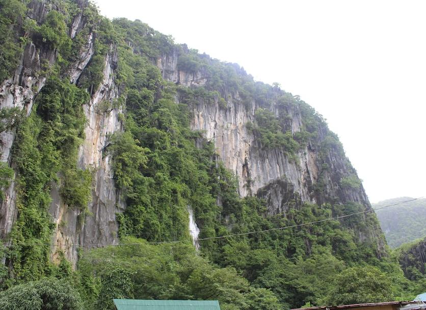 Other Photo