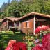 Canada Hotel & Bungalows in Cirali, with wooden bungalows and a lush garden with red flowers