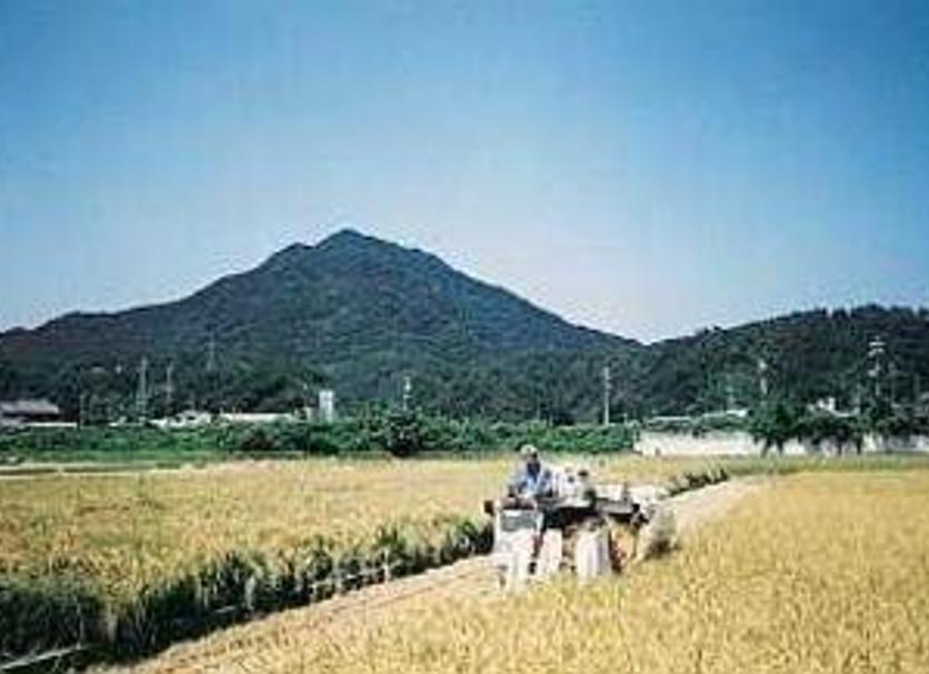 Outdoors view Photo