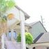 Texan Inn & Suites Houston exterior with palm tree and balcony