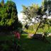 Chalet Appart'Hôtel l'Eau Vive in Saint-Nicolas-la-Chapelle garden with trees, lawn and lounge chairs
