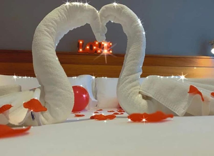 Romantic towel swans and rose petals on a bed at Hotel Los Templarios in Ponferrada