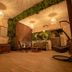 Che Juan Hostel Ba in Buenos Aires lounge with hanging chairs, woven seating, and green wall decor