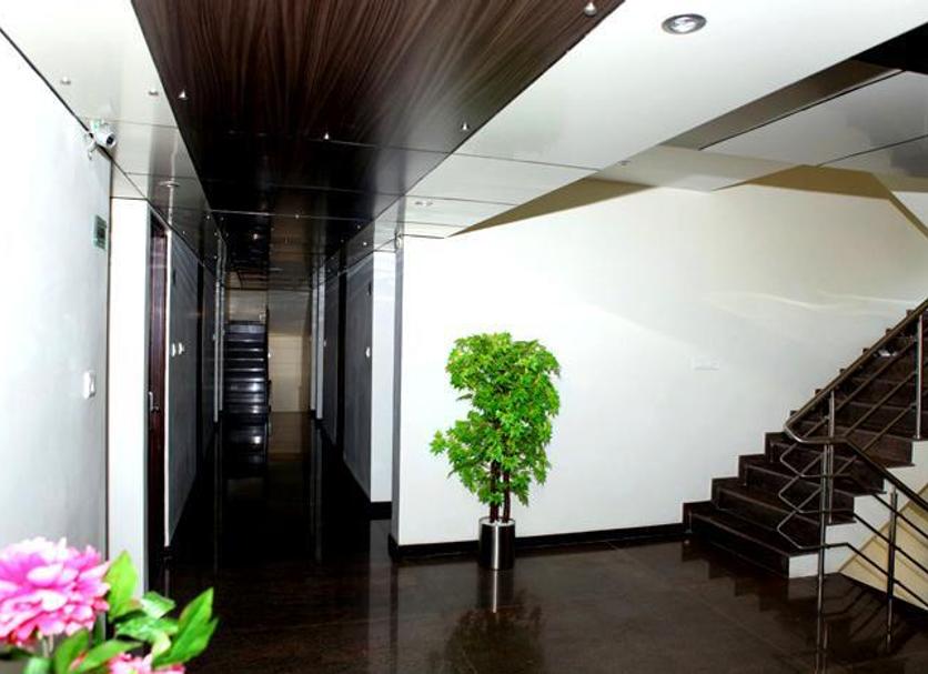 Stairs Photo
