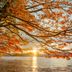 Sunset over Lake Towada framed by autumn leaves at Towada Prince Hotel, Kosaka