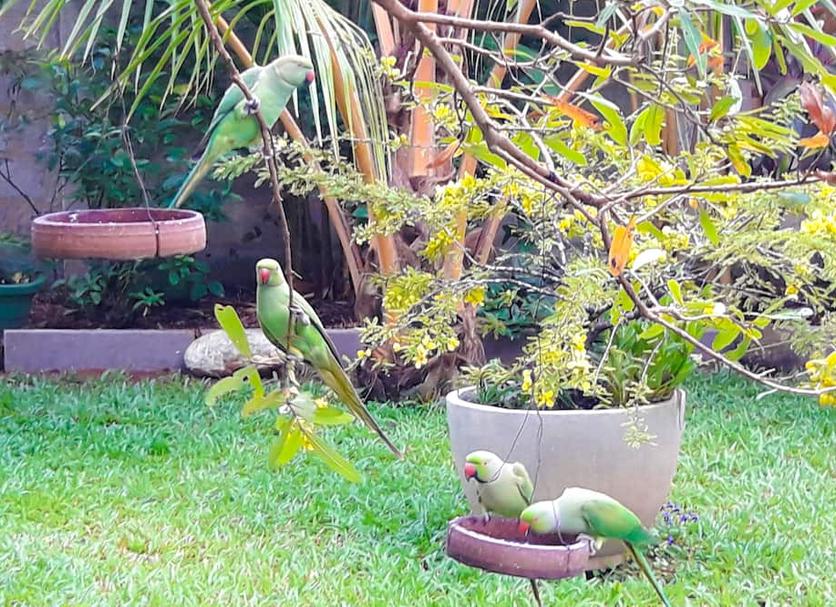 Outdoors view Photo