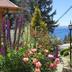 Outdoors view