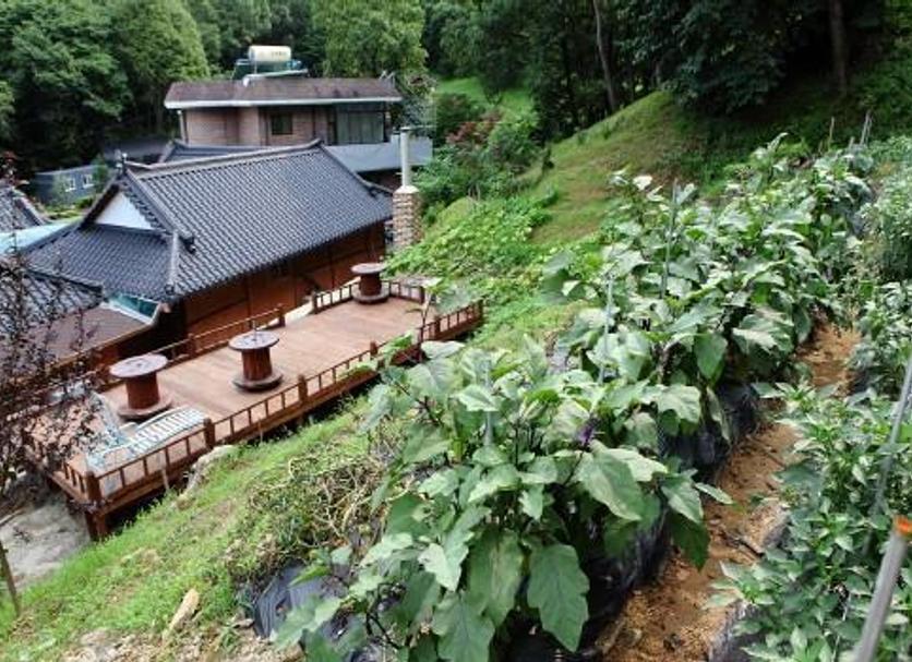 Outdoors view Photo