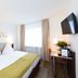 Hotel Alfa in Birsfelden guest room with double bed, desk, wall-mounted TV, and window with curtains