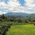 Los Establos Boutique Hotel in Boquete with a lush lawn and mountain valley views