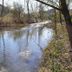 Landhotel Ewerts, Nuerburg: peaceful river or stream beside wooded nature landscape