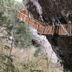 Amasra Ceylin Otel in Amasra: wooden cliffside walkway built along a rocky gorge