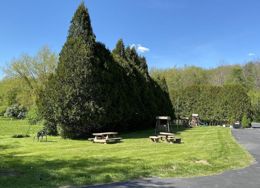 Outdoors view Photo