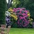 Hotel zum Rosenteich in Bad Zwischenahn garden with colorful blooming flowers and wicker chairs