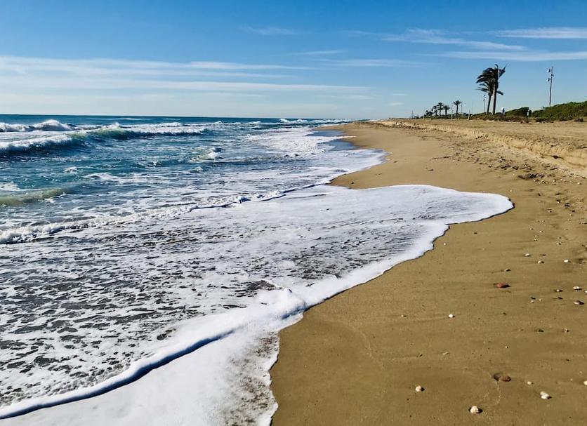 Beach Photo