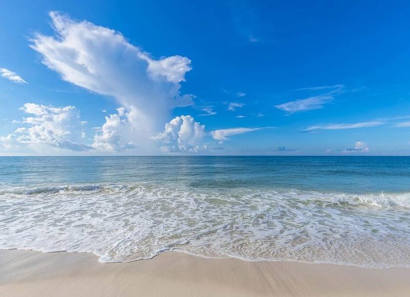 Beach Photo