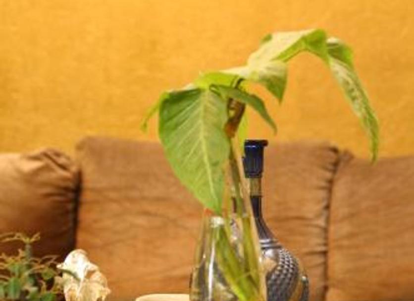 Room amenity Photo