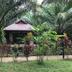Outdoors view