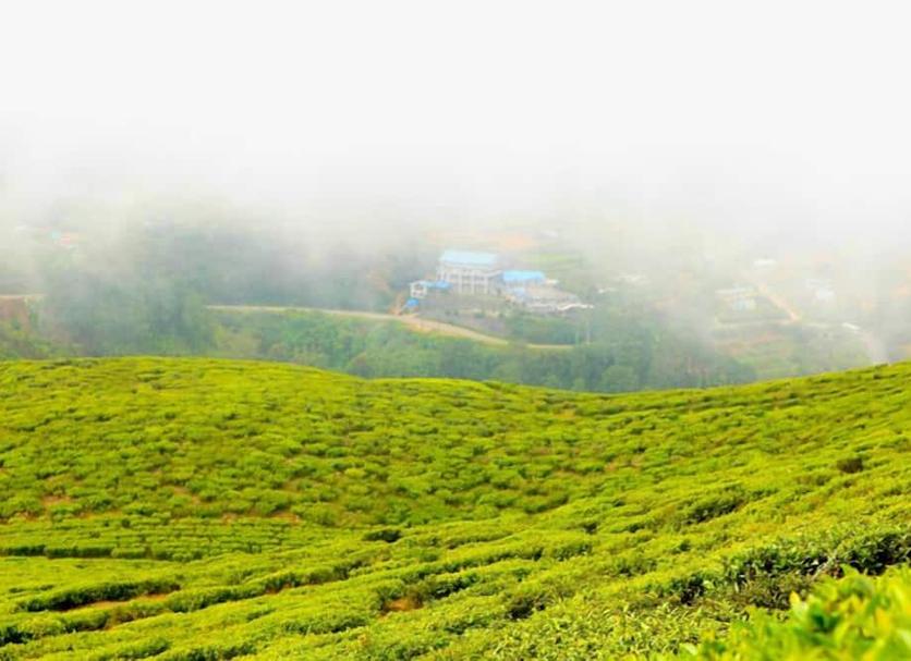 Outdoors view Photo