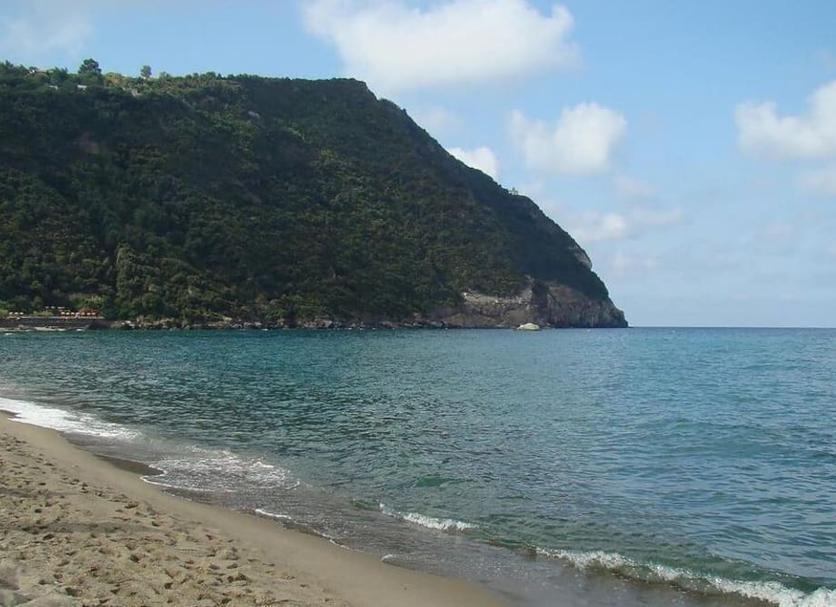 Other Photo