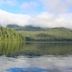 Cobble Wood and Bird Sanctuary Guest Houses, Tofino: calm lake with forested shoreline and misty mountains