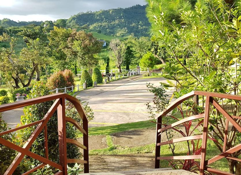 Outdoors view Photo